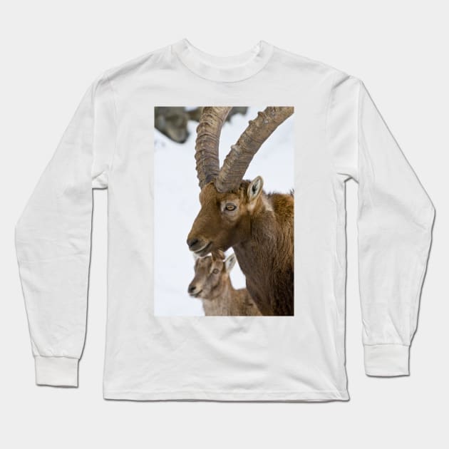 Ibex Long Sleeve T-Shirt by jaydee1400